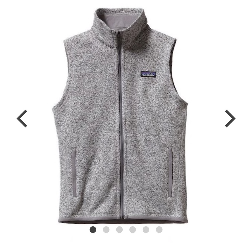 Grey Patagonia Vest